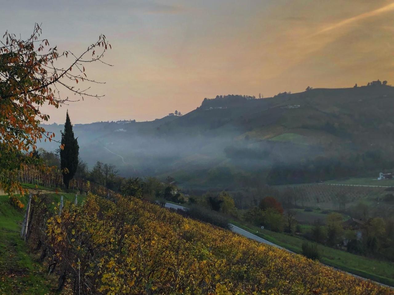 Panoramic Villa Garassino - Country Rooms And Fine Restaurant トレイゾ エクステリア 写真